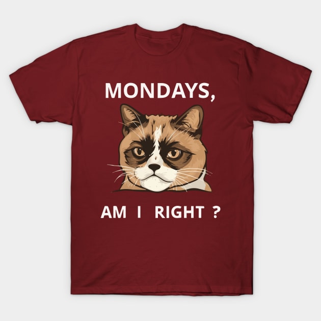 Mondays, Am I Right? T-Shirt by Salaar Design Hub